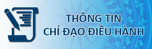 Thông tin chỉ đạo điều hành